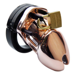 Generique Cage de chasteté Couleur Bronze